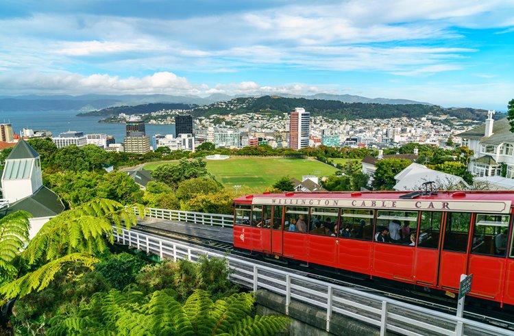 Wellington | LAT.40