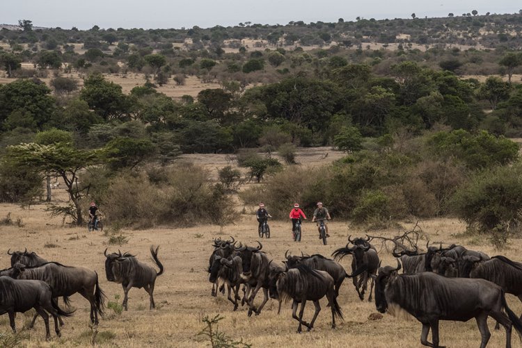 1920's Cottar's Safari Camp en Masai Mara