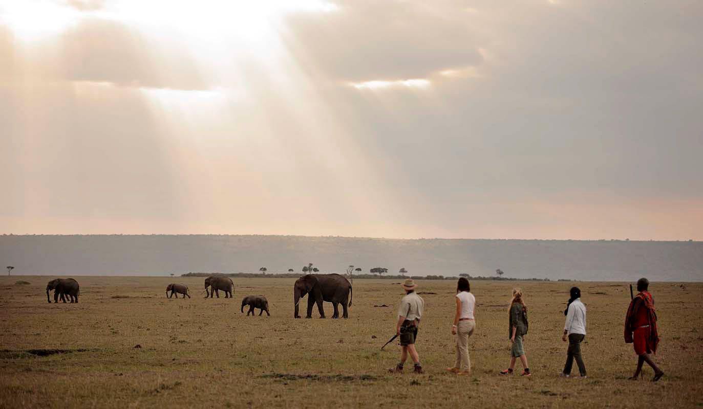 Elewana Tortilis Camp en Amboseli