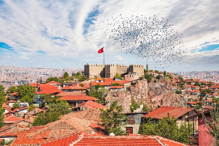 Ankara | LAT.40