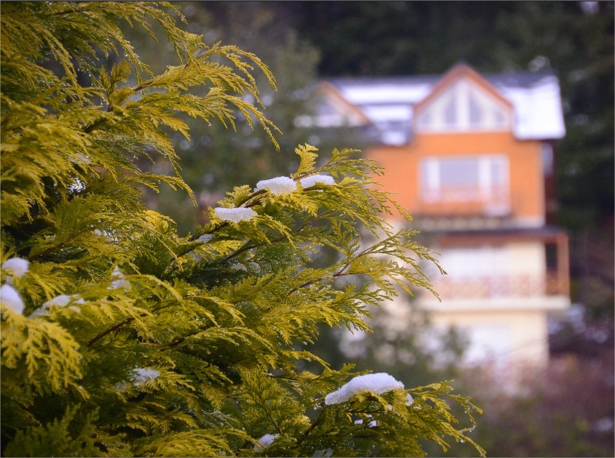 Huinid Cabañas Bustillo en Bariloche