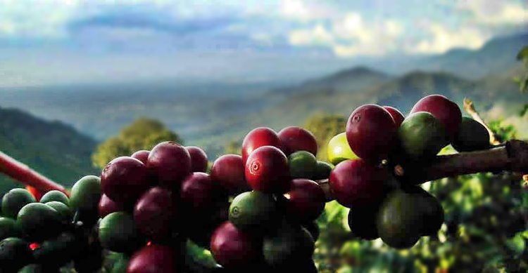 Exclusivo Viaje a México diseñado por LAT.40