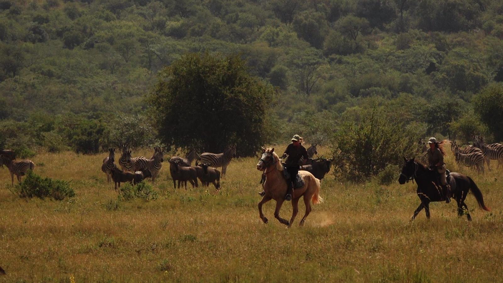Safari a caballo en Sudáfrica con Marta González diseñado por LAT.40