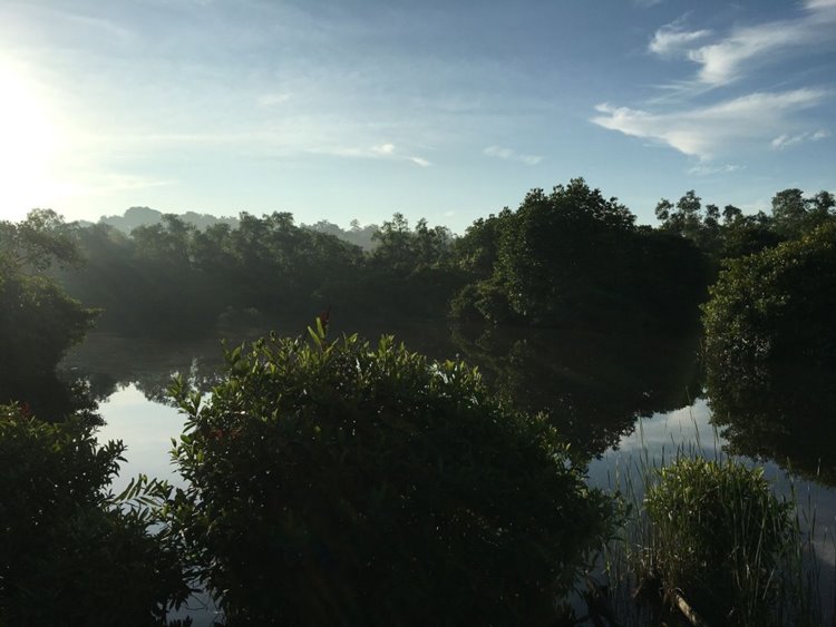 Imagen de viaje LAT.40