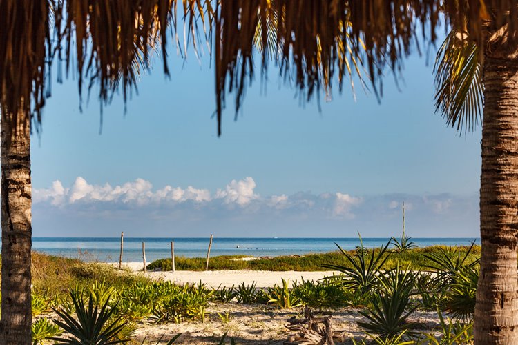 Villas HM Palapas del Mar en Holbox