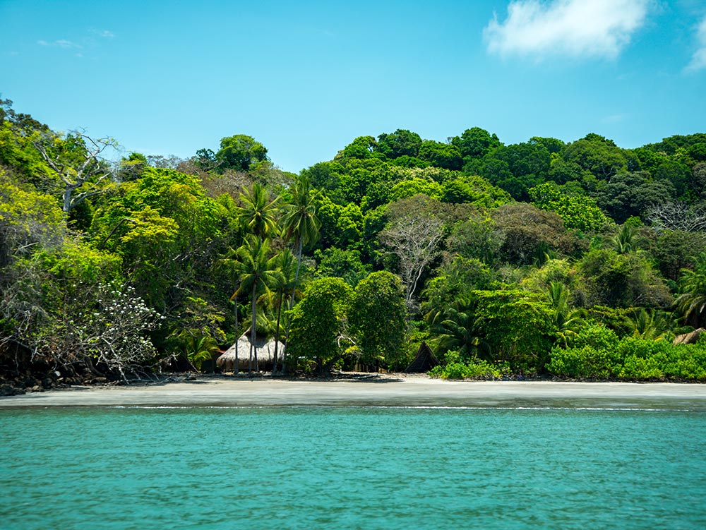 Amazonas y Panamá diseñado por LAT.40