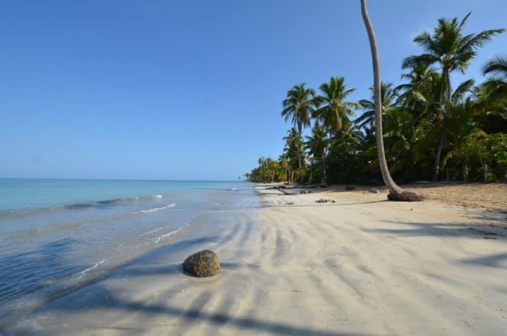 El Mosquito Boutique Hotel en Las Terrenas