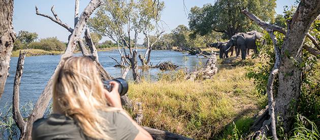 Taita Falcon Lodge en Livingstone