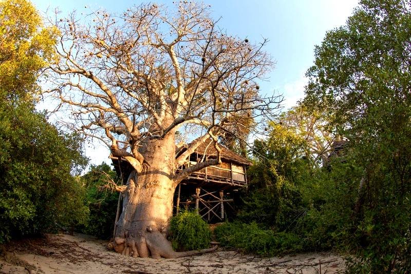Chole Mjini en mafia island