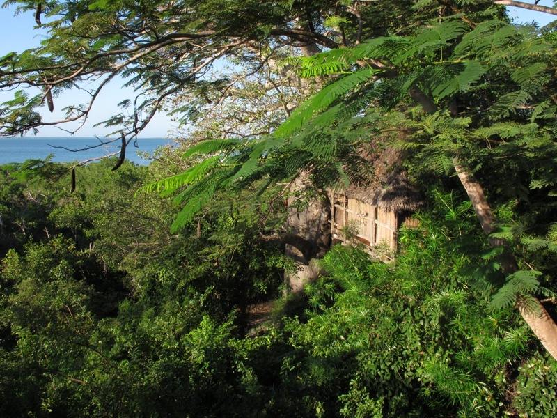 Chole Mjini en mafia island