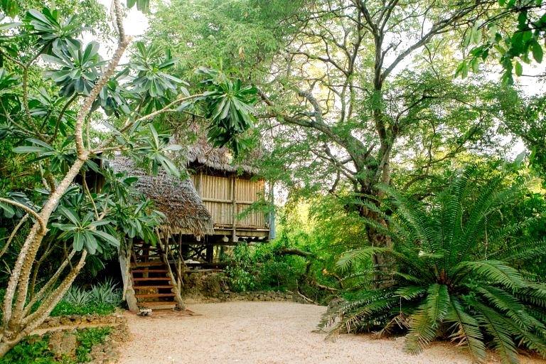 Chole Mjini en mafia island