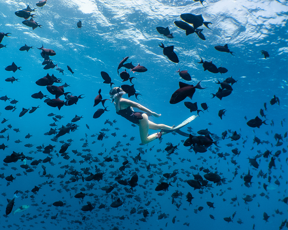 Amilla Maldives en Baa Atoll