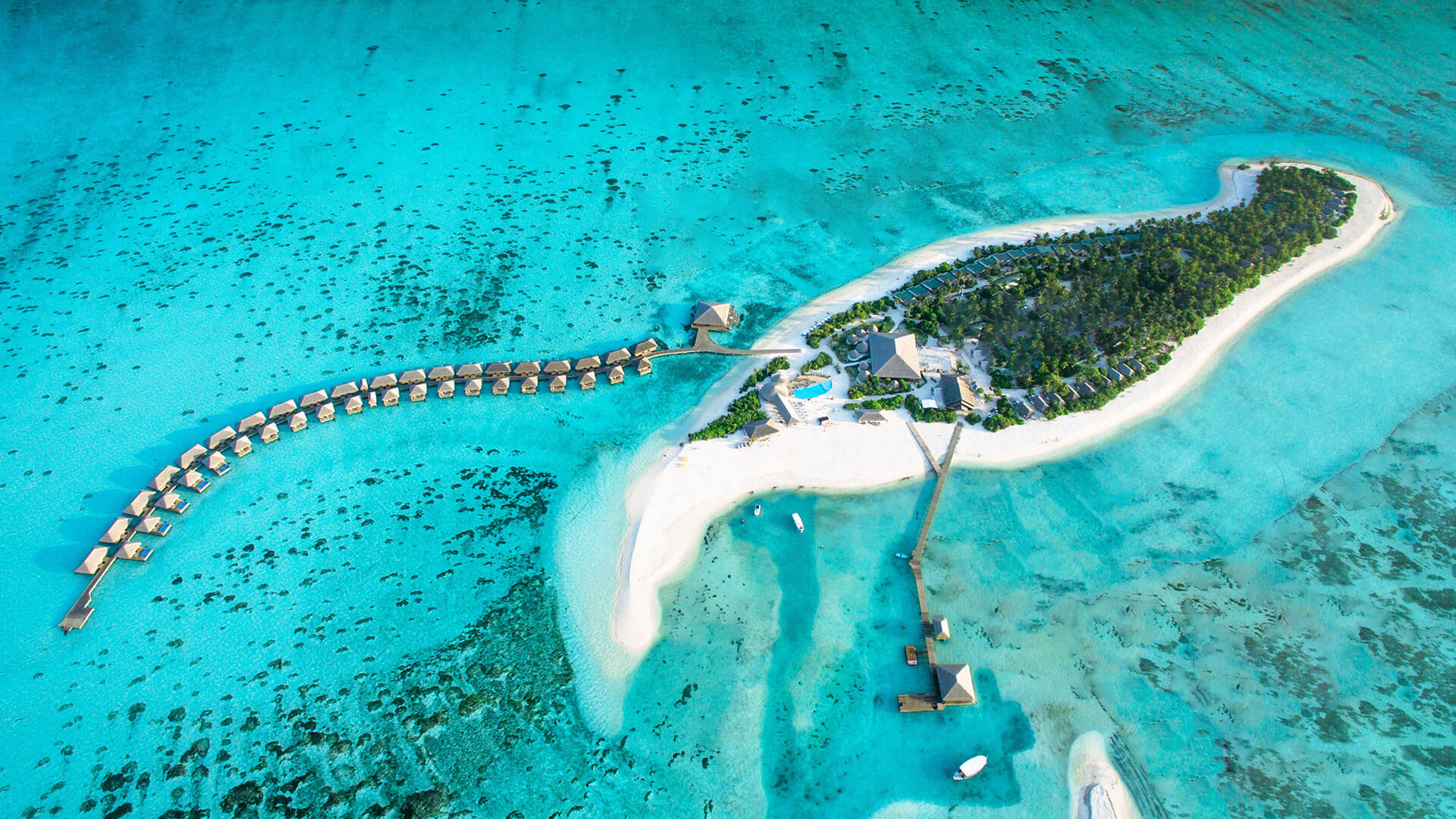 Cocoon Maldives en su destino