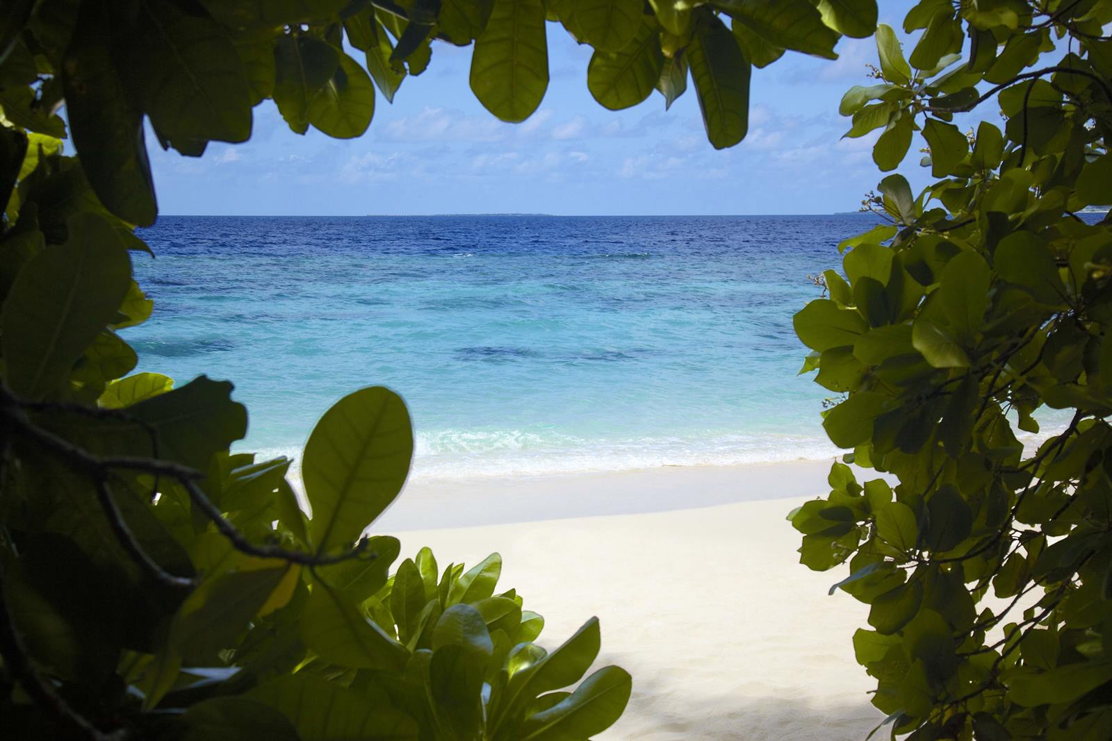 Dusit Thani Maldives en Baa Atoll