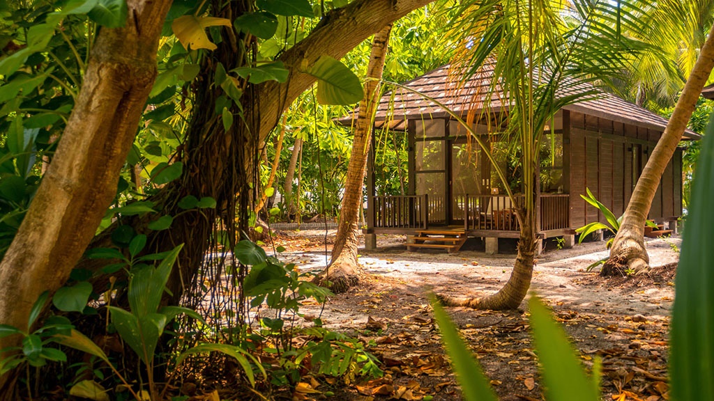 Fiyavalhu Maldives en South Ari Atoll