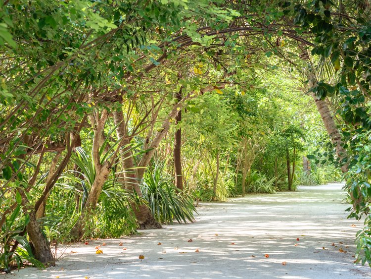 Summer Island Maldives en North Male Atoll