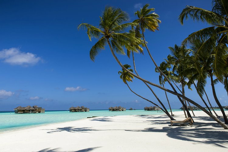 Gili Lankanfushi Maldives en North Male Atoll