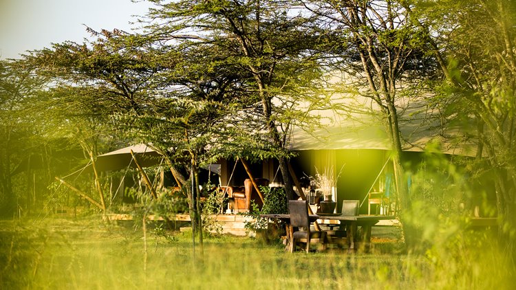 Mara Expedition Camp Great Plains en Masai Mara