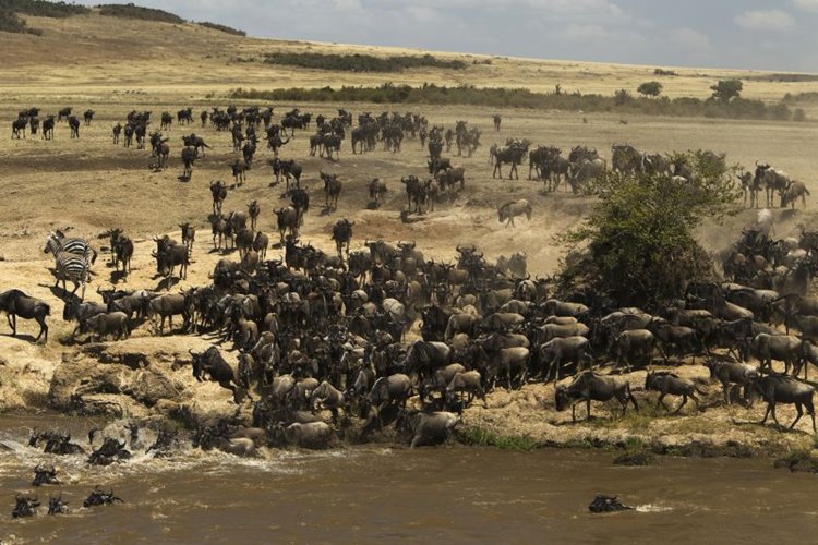 Mara Expedition Camp Great Plains en Masai Mara