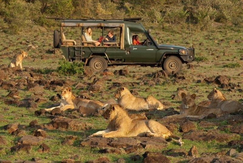 Offbeat Mara Camp en Masai Mara