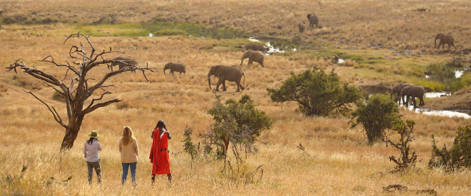 Offbeat Mara Camp en Masai Mara