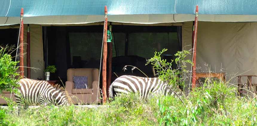 Offbeat Mara Camp en Masai Mara