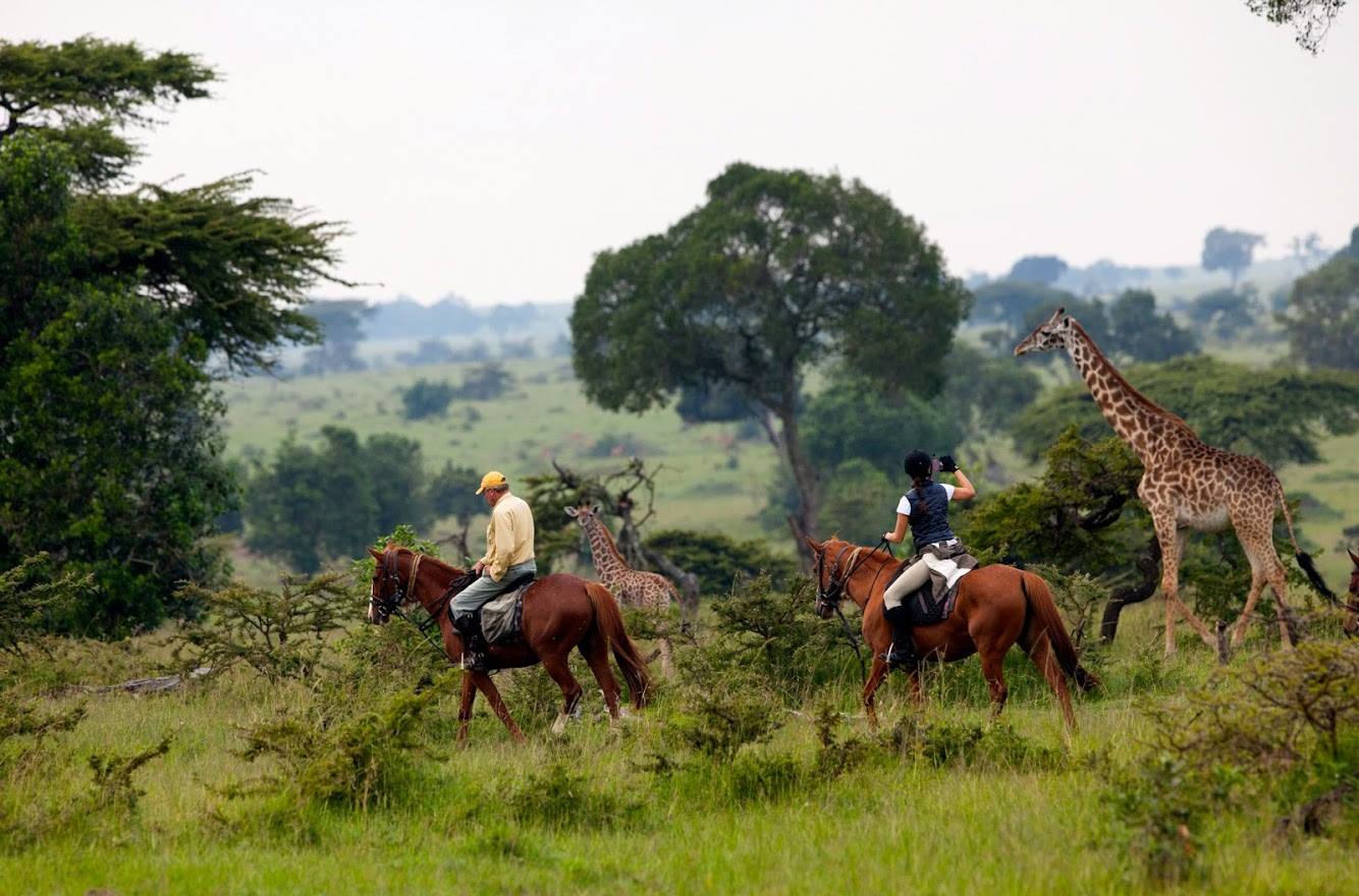 Safari a caballo en su destino