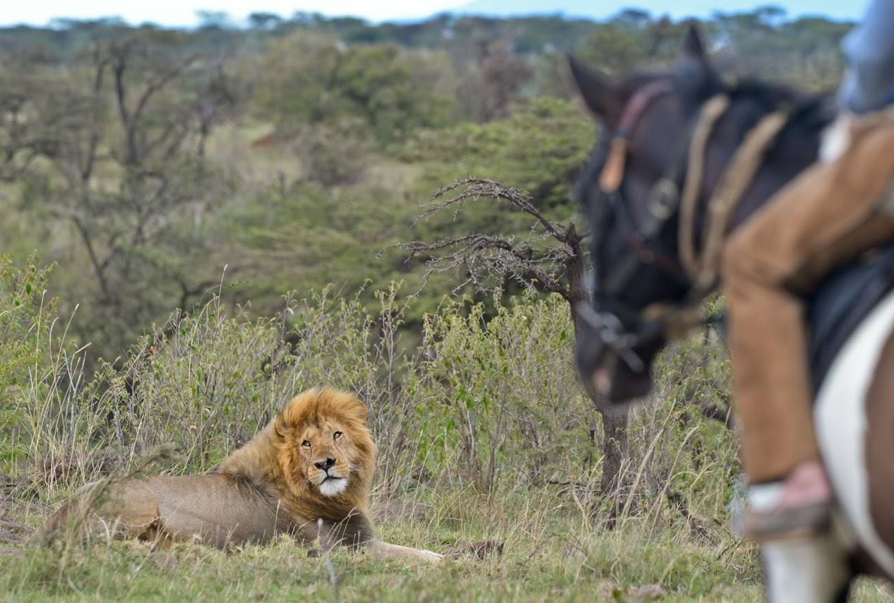 Masai Mara