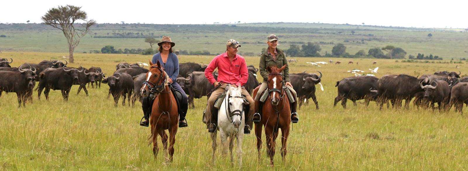 Imagen de viaje LAT.40