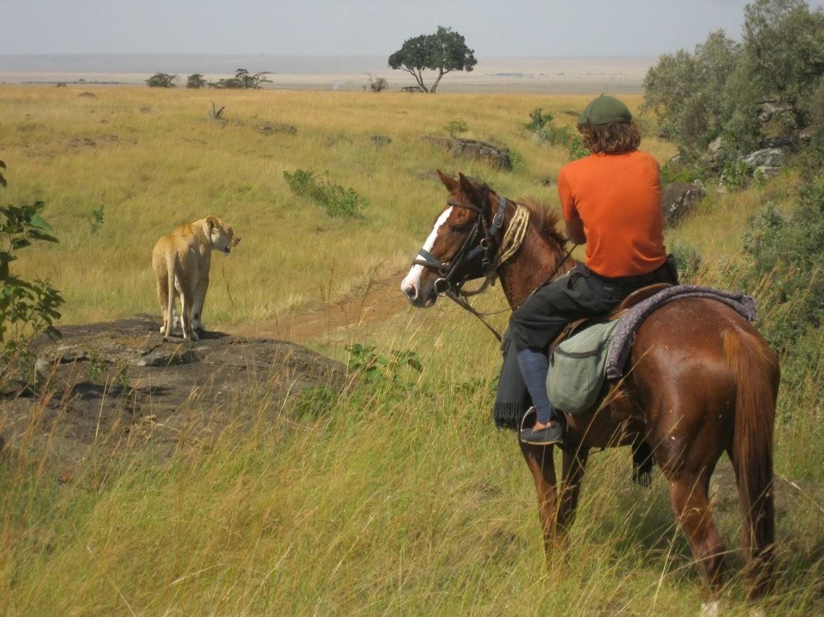 Safari a caballo en Masai Mara