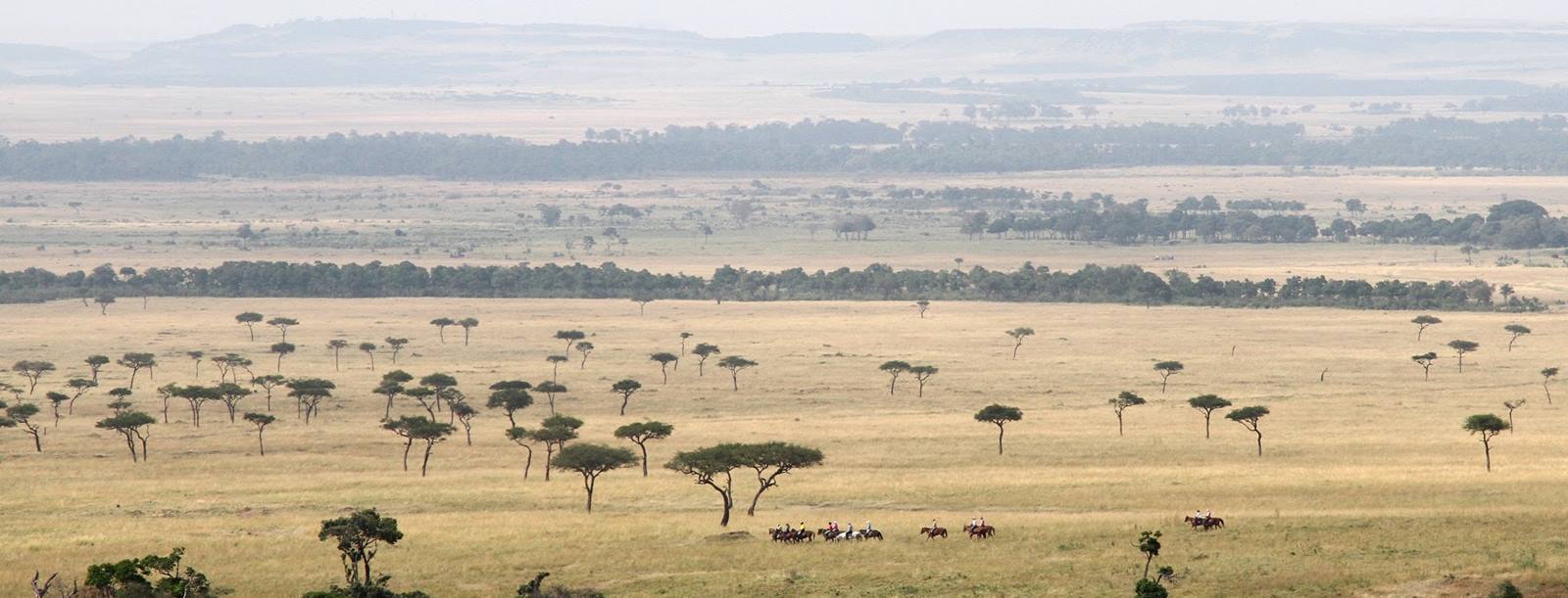 Safari a caballo en Masai Mara