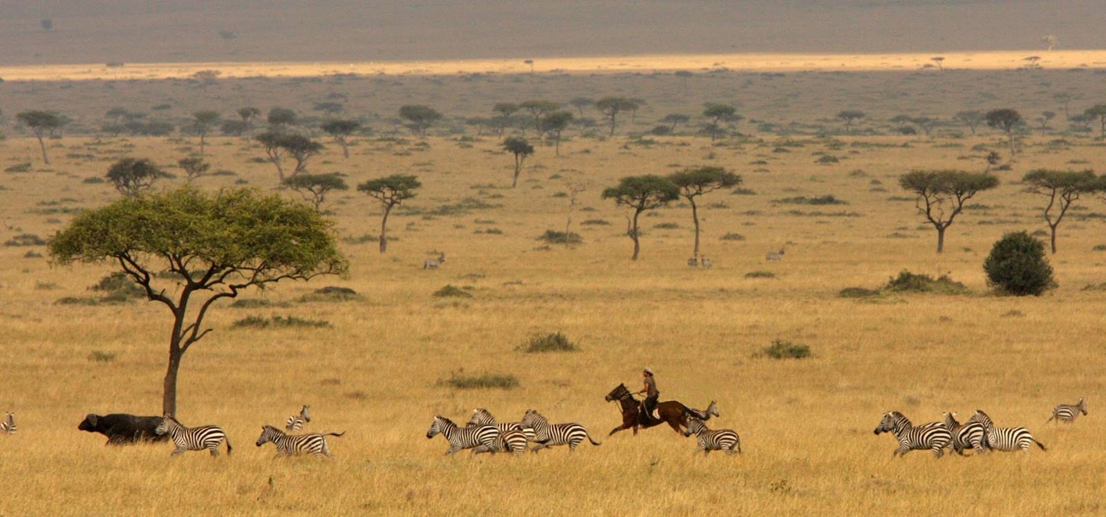 Safari a caballo en Masai Mara