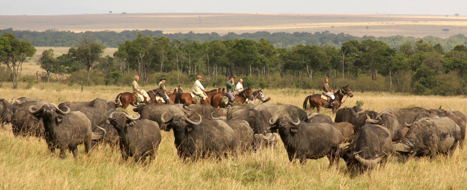 Safari a caballo en Masai Mara