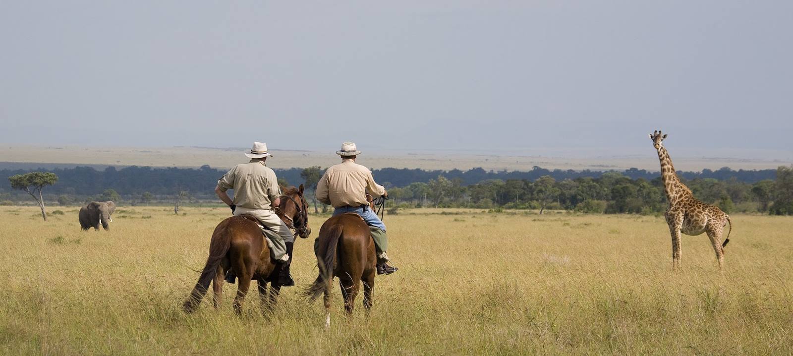 Safari a caballo en Masai Mara