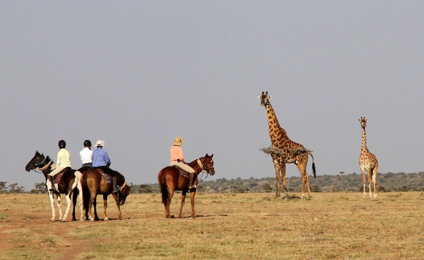 Safari a caballo en Masai Mara