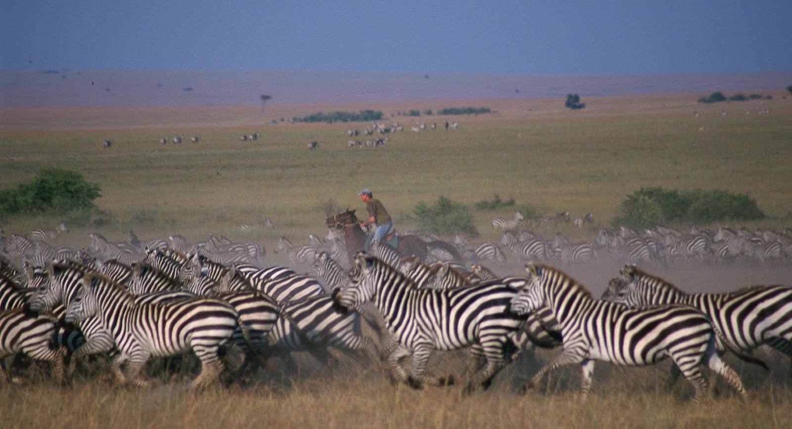 Safari a caballo en Masai Mara