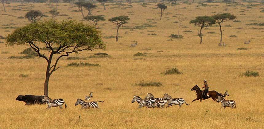 Safari a caballo en Masai Mara