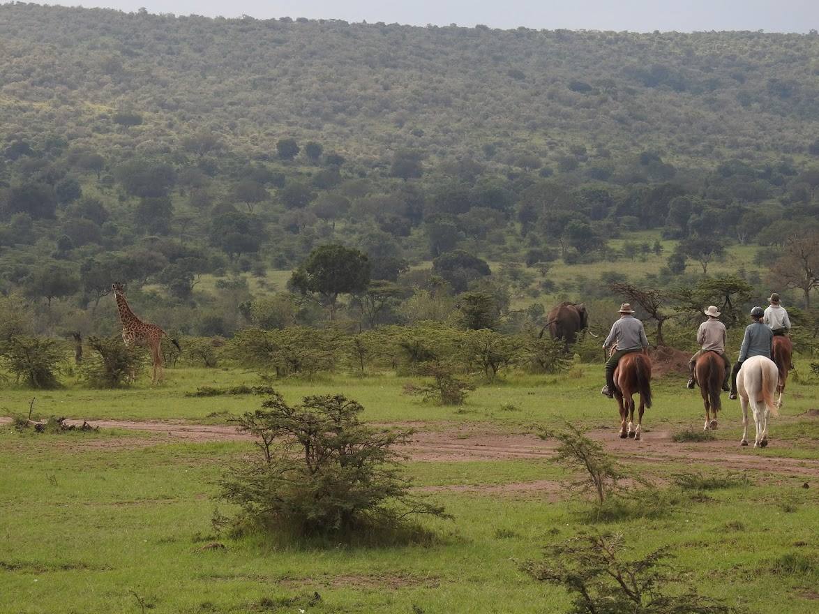 Safari a caballo en Masai Mara