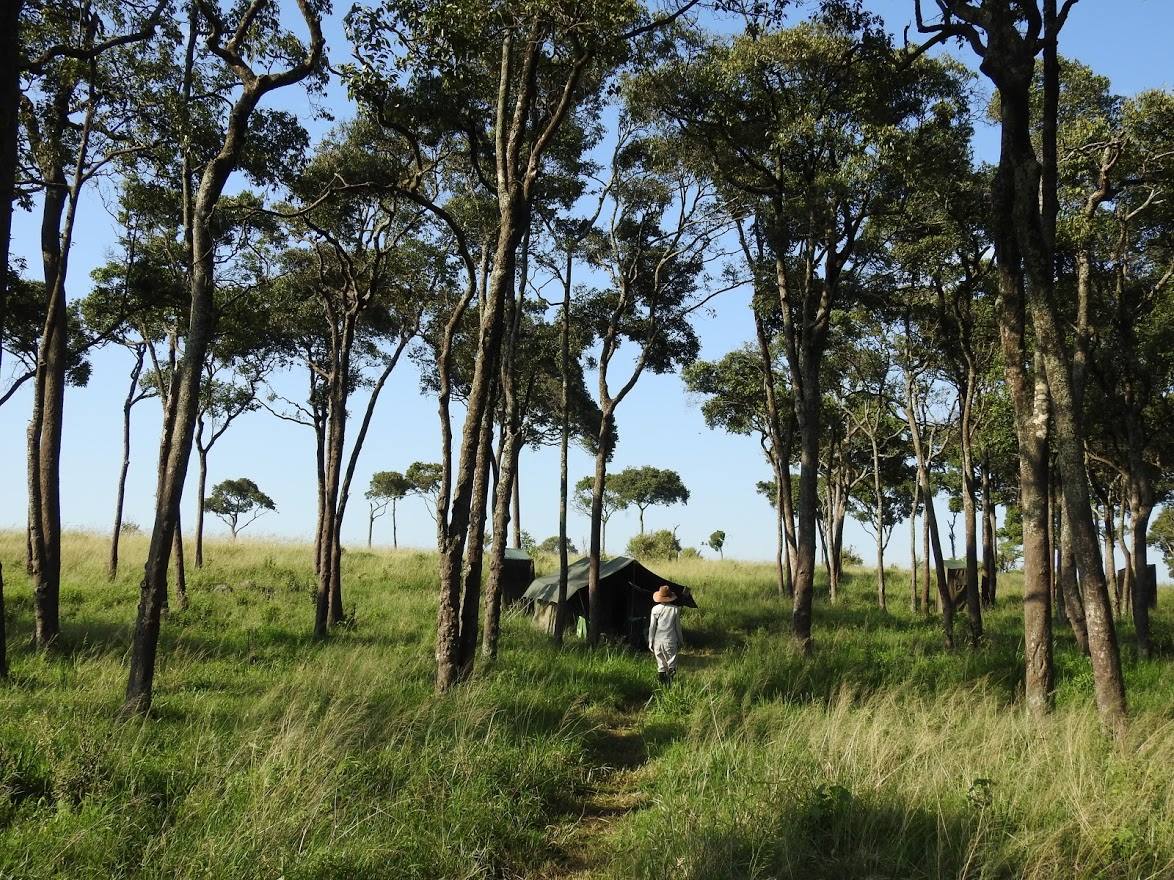 Safari a caballo en Masai Mara