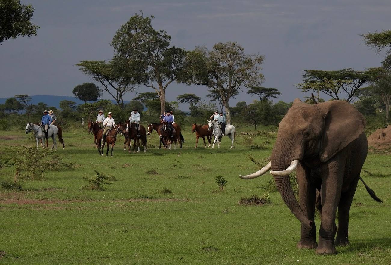 Safari a caballo en Masai Mara
