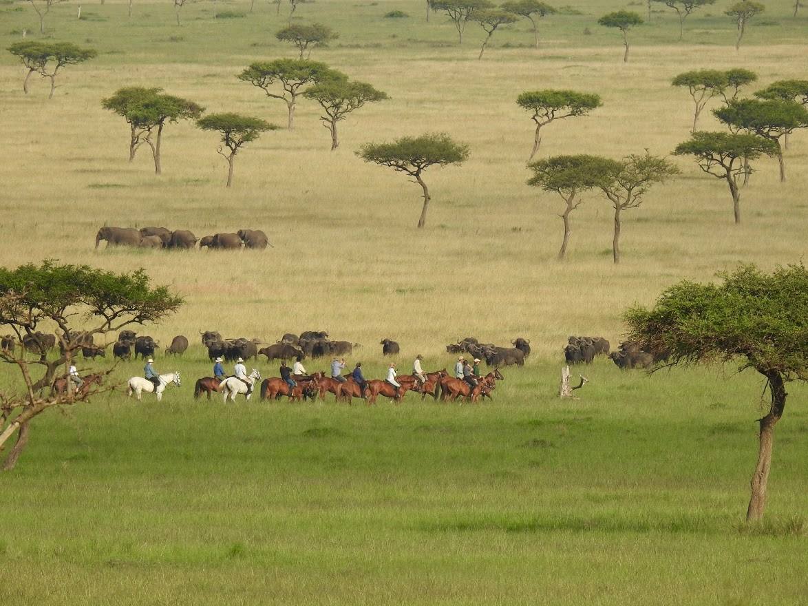 Safari a caballo en Masai Mara