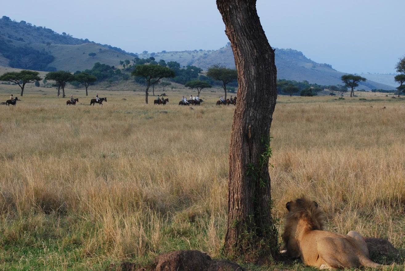 Safari a caballo en Masai Mara