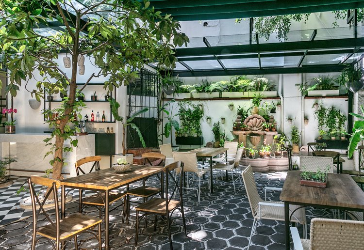 Orchid House Polanco  en su destino