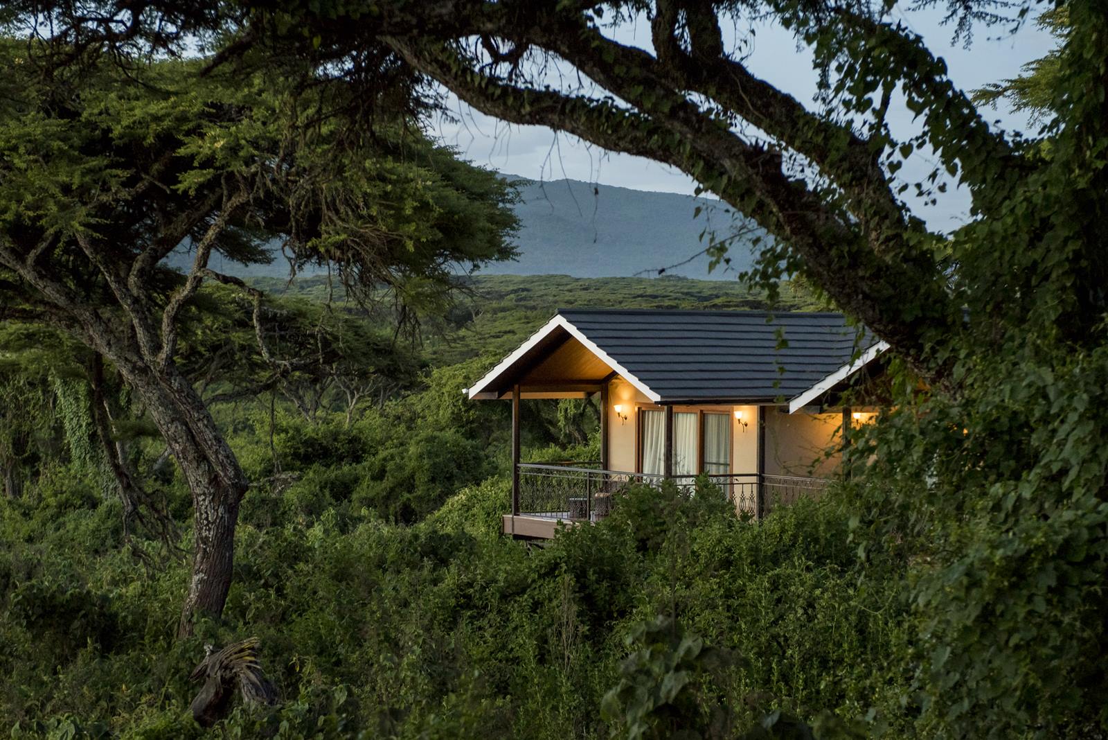 Lions Paw Camp en Ngorongoro