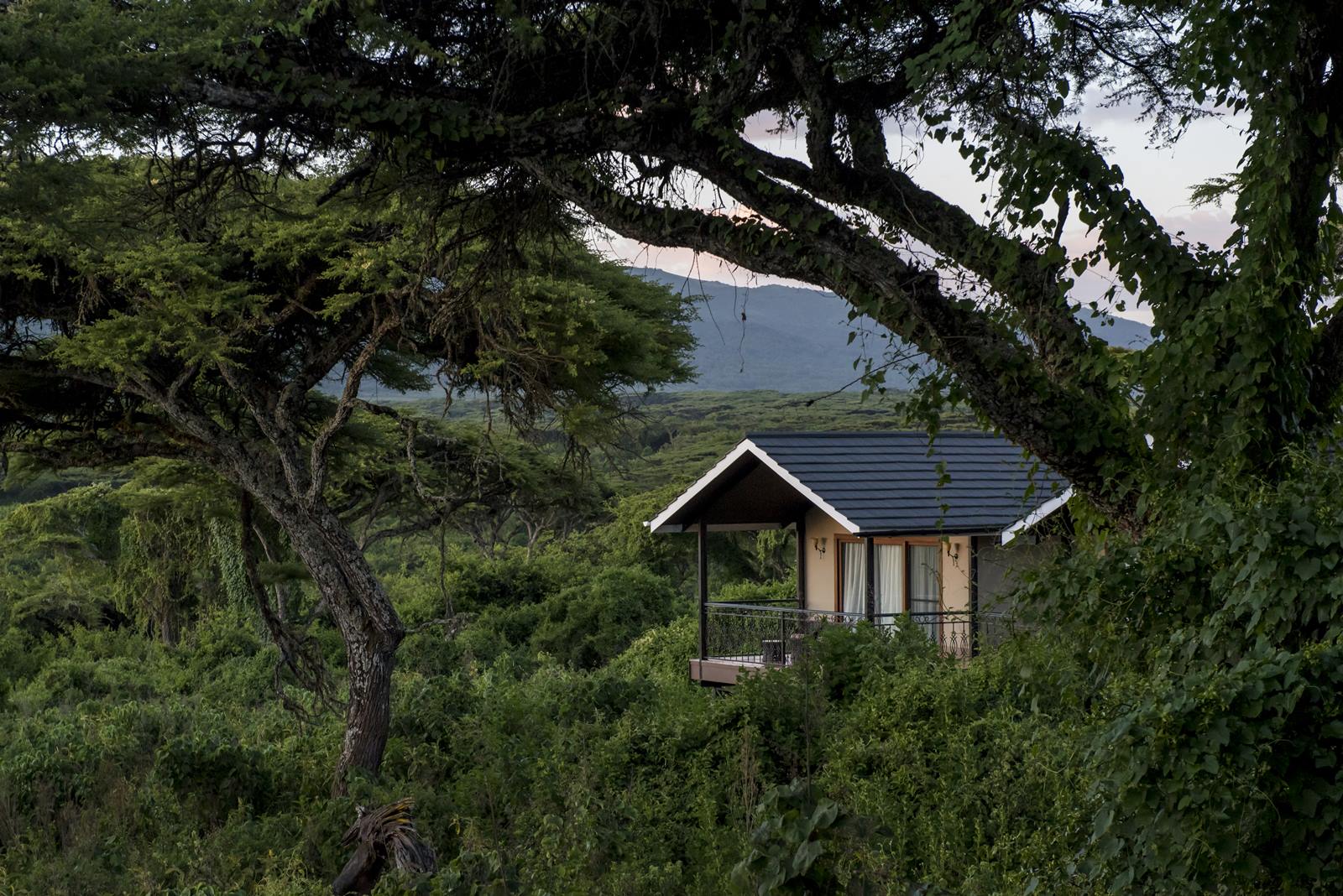 Lions Paw Camp en Ngorongoro