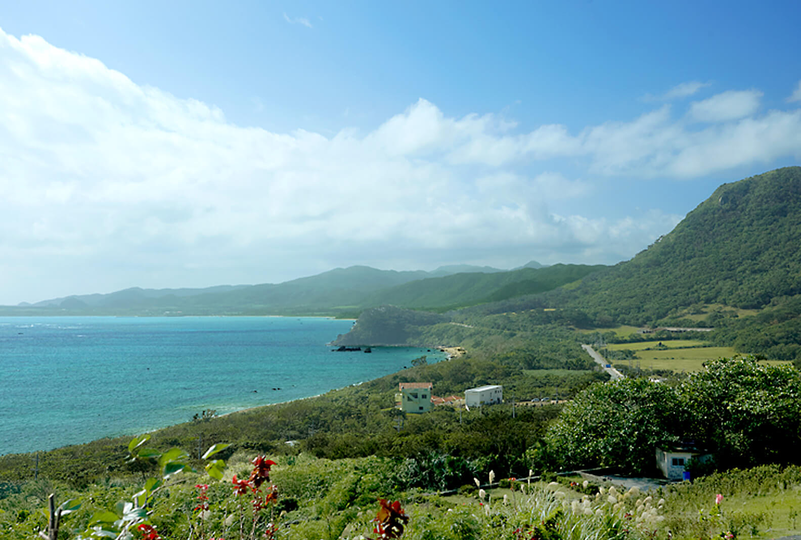 Ishigaki