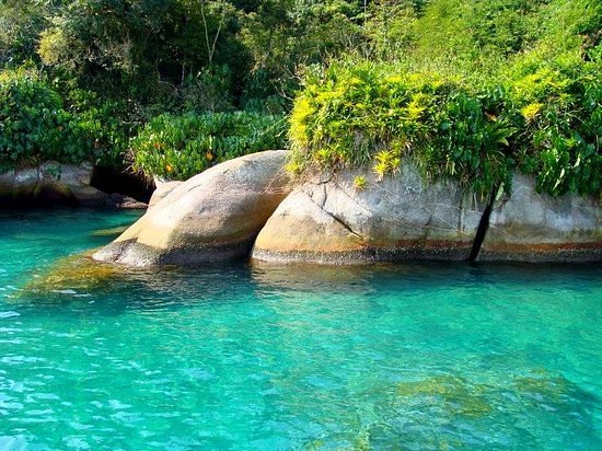Paraty | LAT.40