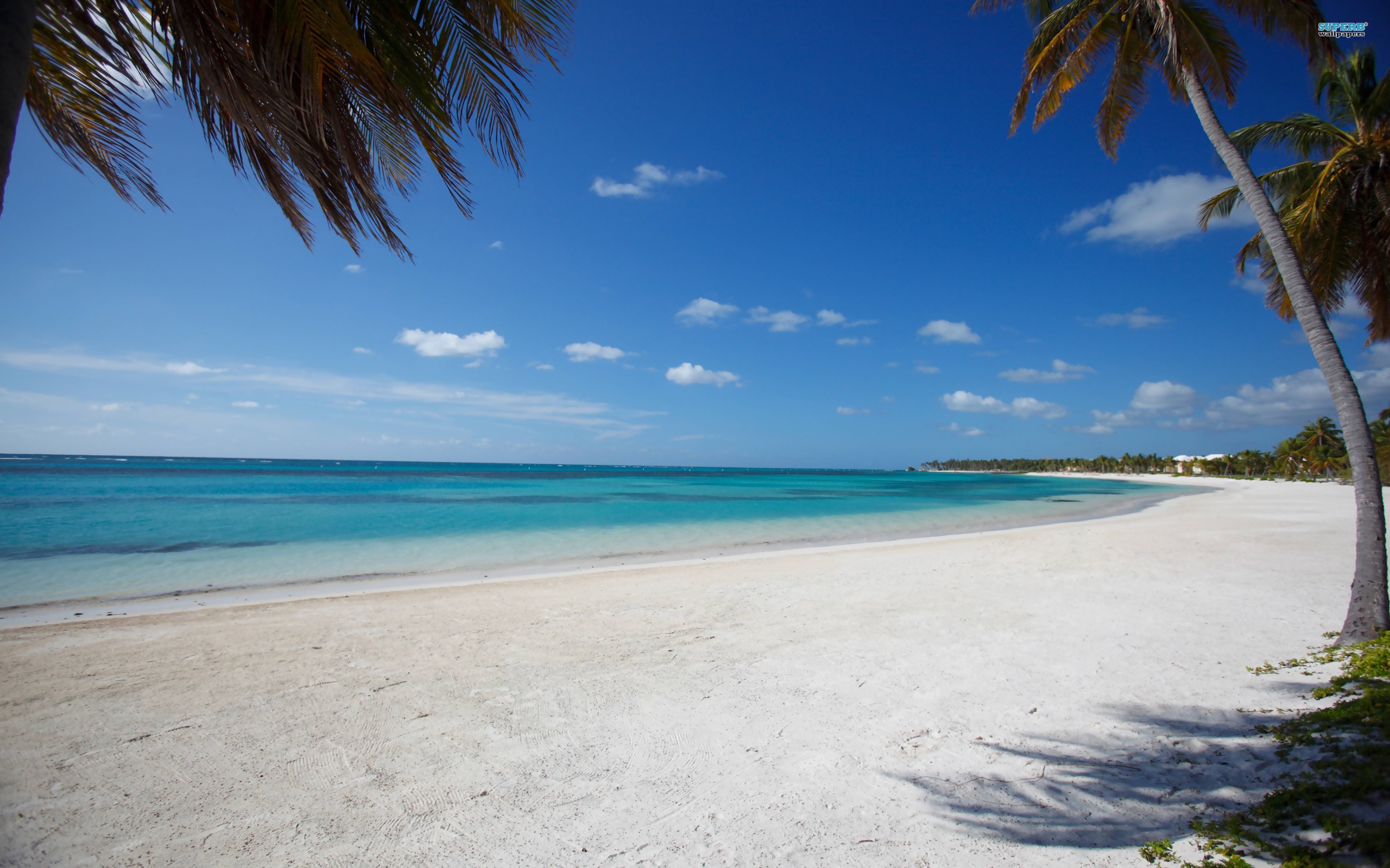 Punta Cana | LAT.40