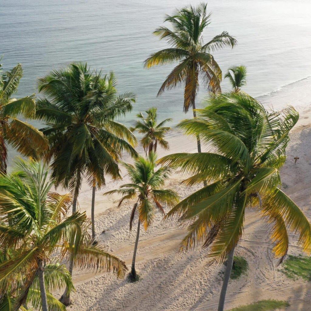 Todoblanco en Las Galeras