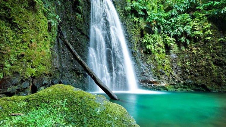 Furnas Boutique Hotel en San Miguel